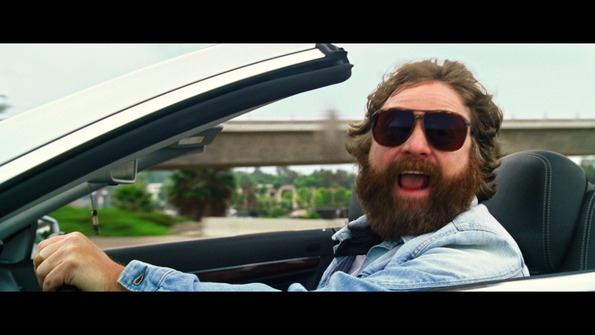 Alan Garner (The Hangover) Blank Meme Template