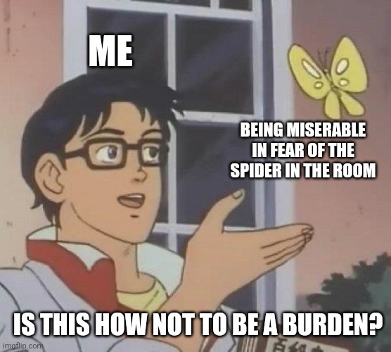 i feel like this is the only way sometimes | ME; BEING MISERABLE IN FEAR OF THE SPIDER IN THE ROOM; IS THIS HOW NOT TO BE A BURDEN? | image tagged in memes,is this a pigeon,fear,self isolation,misery,spider | made w/ Imgflip meme maker
