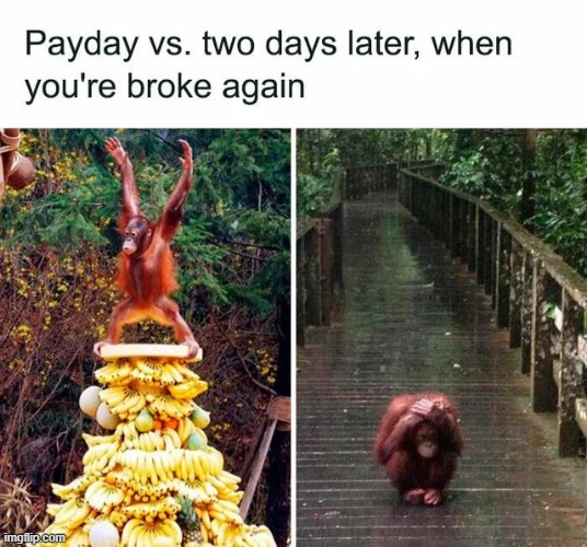 image tagged in memes | made w/ Imgflip meme maker
