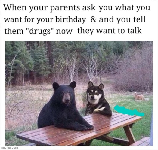 image tagged in memes | made w/ Imgflip meme maker