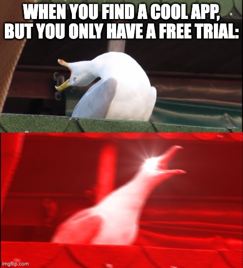 So Annoying. This happened to my | WHEN YOU FIND A COOL APP, BUT YOU ONLY HAVE A FREE TRIAL: | image tagged in screaming bird | made w/ Imgflip meme maker