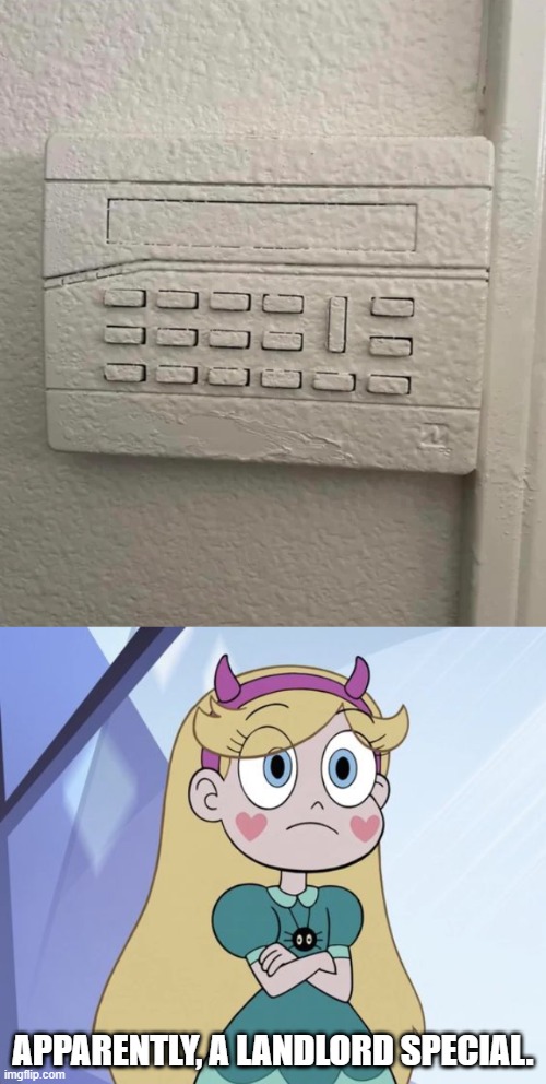 APPARENTLY, A LANDLORD SPECIAL. | image tagged in star butterfly,you had one job,star vs the forces of evil,memes | made w/ Imgflip meme maker
