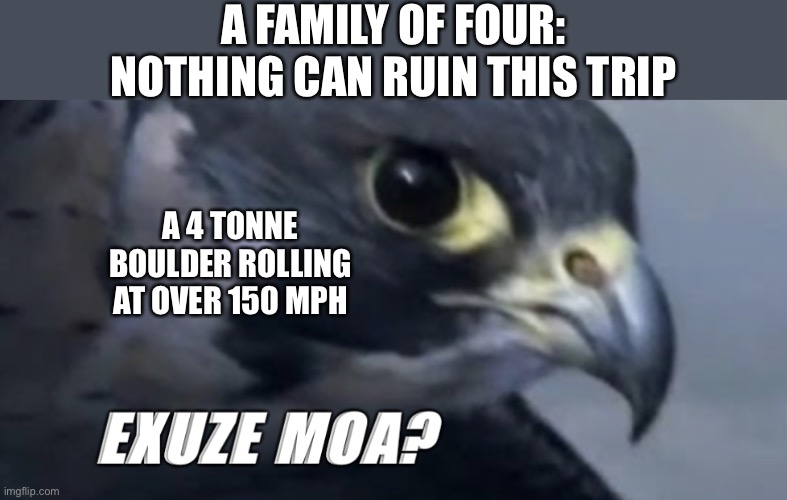 Should’ve kept your mouth shut | A FAMILY OF FOUR: NOTHING CAN RUIN THIS TRIP; A 4 TONNE BOULDER ROLLING AT OVER 150 MPH | image tagged in peregrine falcon exuze moa,dark humor,funny | made w/ Imgflip meme maker