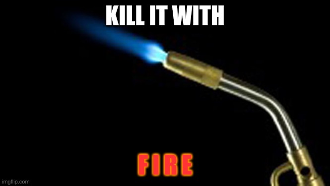 blowtorch | KILL IT WITH F I R E | image tagged in blowtorch | made w/ Imgflip meme maker