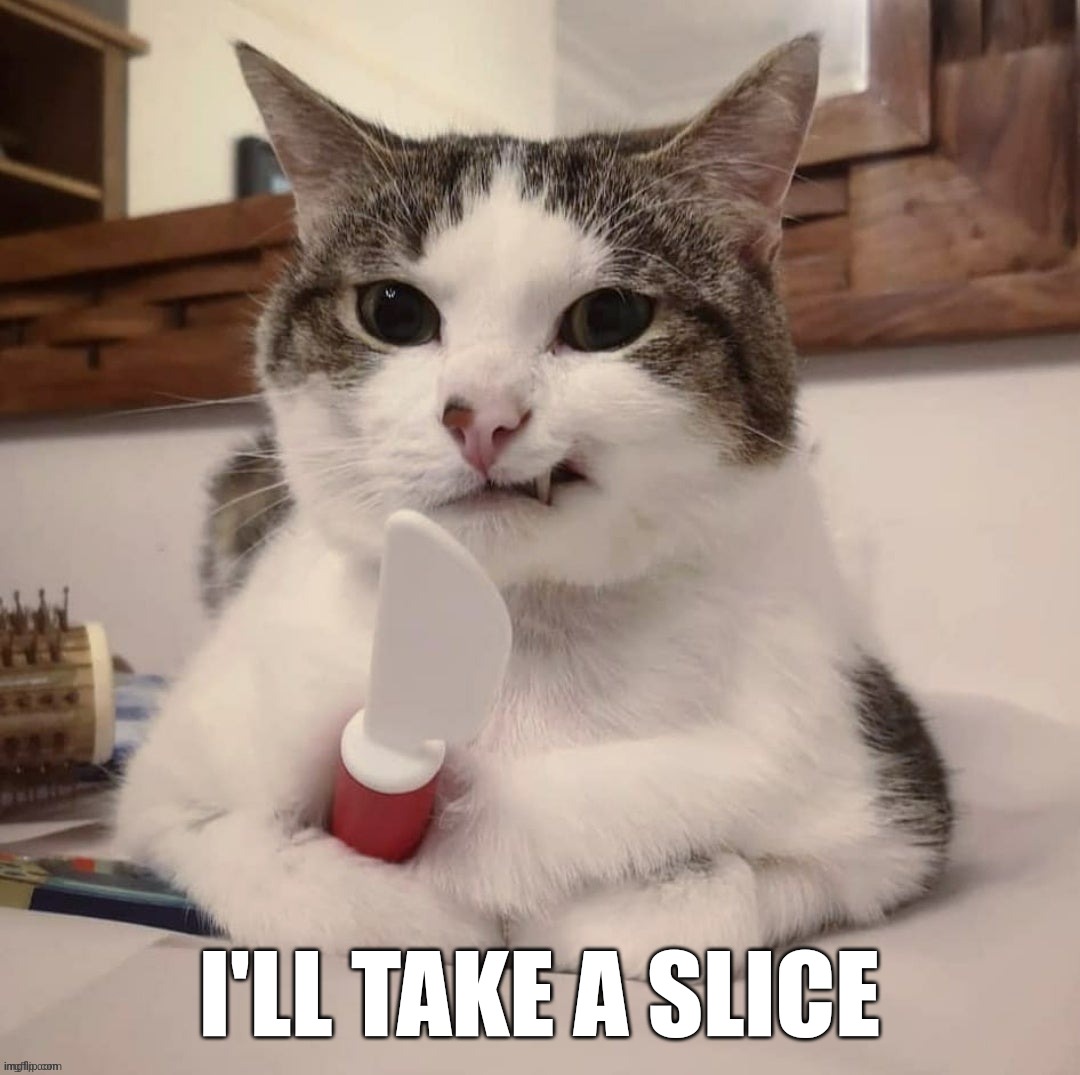 I'LL TAKE A SLICE | image tagged in angry cat | made w/ Imgflip meme maker