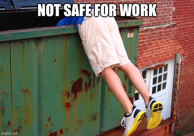 Dumpster Dive | NOT SAFE FOR WORK | image tagged in dumpster dive | made w/ Imgflip meme maker