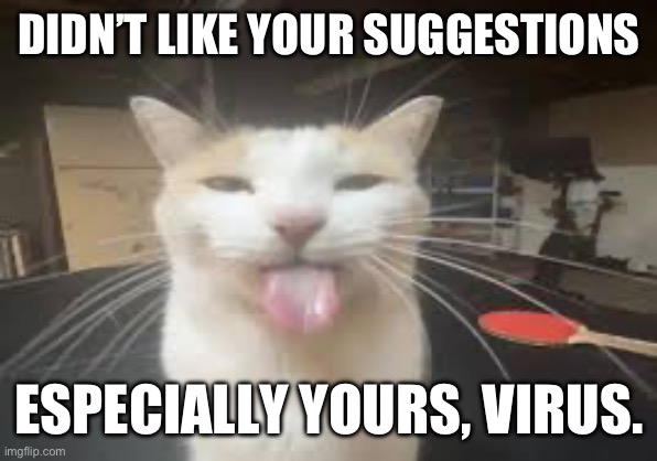 Cat | DIDN’T LIKE YOUR SUGGESTIONS; ESPECIALLY YOURS, VIRUS. | image tagged in cat | made w/ Imgflip meme maker