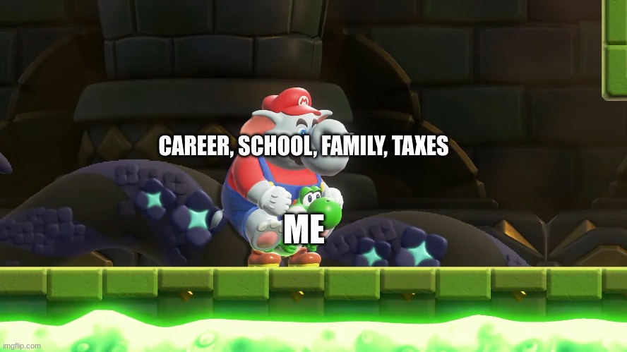 Adulthood | CAREER, SCHOOL, FAMILY, TAXES; ME | image tagged in super mario,super mario wonder,nintendo,memes,life | made w/ Imgflip meme maker