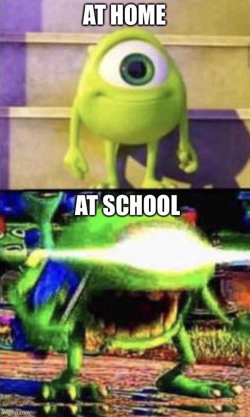 Mike wazowski | AT HOME; AT SCHOOL | image tagged in mike wazowski | made w/ Imgflip meme maker