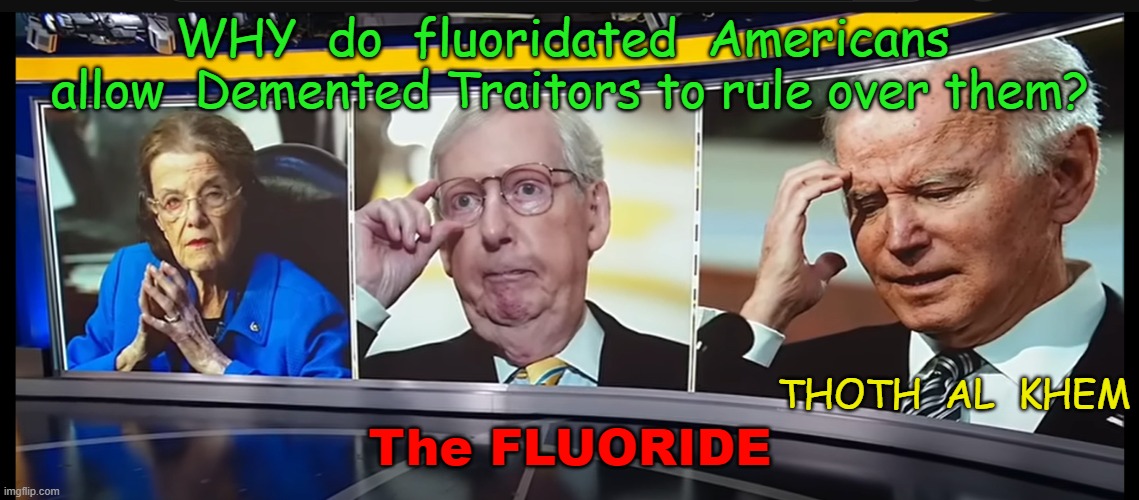 SODIUM FLUORIDE IS POISON AND LOWERS I.Q. | WHY  do  fluoridated  Americans  allow  Demented Traitors to rule over them? The FLUORIDE; THOTH  AL  KHEM | image tagged in fluoride,dumbed down,zoloft,fluoride is poison,prozac,paxil | made w/ Imgflip meme maker