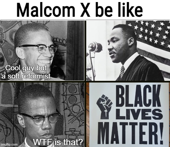 Black Panthers are pu**ies. BLM never reference these two | Malcom X be like; Cool guy but a soft reformist; WTF is that? | image tagged in memes,blank comic panel 2x2,blm | made w/ Imgflip meme maker