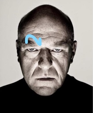 Dean Norris eyebrow raise Blank Meme Template