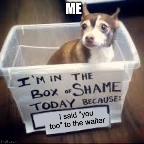 Me too | ME; I said “you too” to the waiter | image tagged in box of shame dog | made w/ Imgflip meme maker