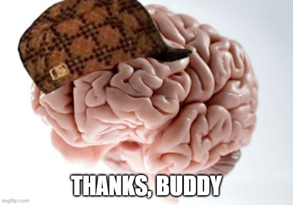 Scumbag Brain Meme | THANKS, BUDDY | image tagged in memes,scumbag brain | made w/ Imgflip meme maker