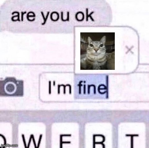 I’m fine meme | image tagged in i m fine meme | made w/ Imgflip meme maker