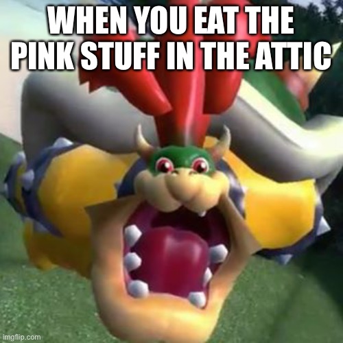 Bowser on LSD | WHEN YOU EAT THE PINK STUFF IN THE ATTIC | image tagged in bowser on lsd | made w/ Imgflip meme maker