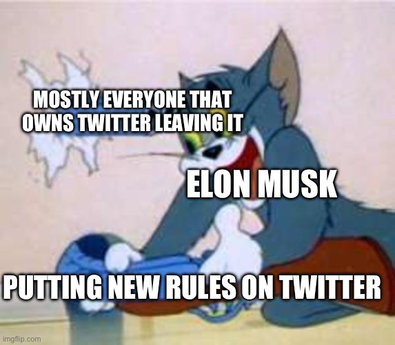 Makes sense | MOSTLY EVERYONE THAT OWNS TWITTER LEAVING IT; ELON MUSK; PUTTING NEW RULES ON TWITTER | image tagged in tom the cat shooting himself | made w/ Imgflip meme maker