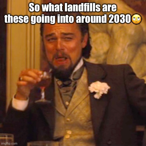 Laughing Leo Meme | So what landfills are these going into around 2030? | image tagged in memes,laughing leo | made w/ Imgflip meme maker