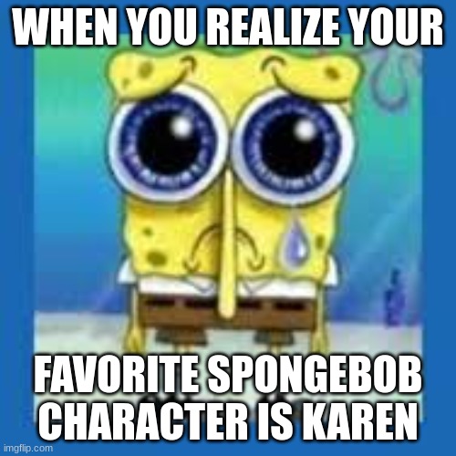 spongbob sad meme | WHEN YOU REALIZE YOUR; FAVORITE SPONGEBOB CHARACTER IS KAREN | image tagged in spongbob sad meme | made w/ Imgflip meme maker