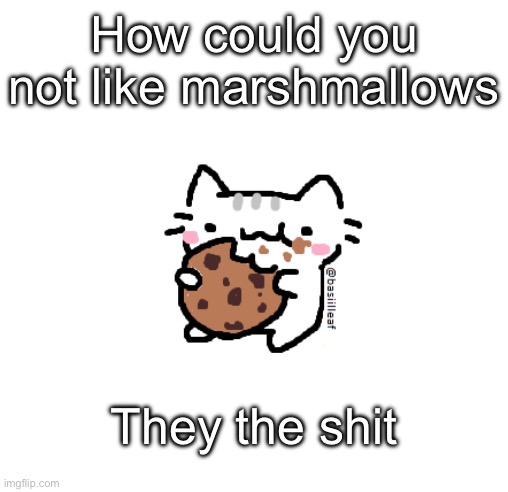 Basil | How could you not like marshmallows; They the shit | image tagged in basil | made w/ Imgflip meme maker