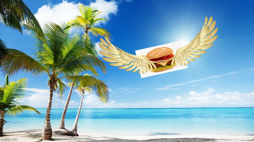image tagged in jimmy buffett,cheesburger in paradise | made w/ Imgflip meme maker