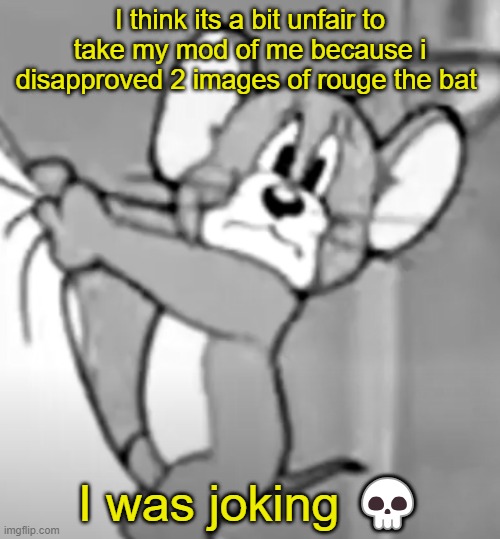 awww the skrunkly | I think its a bit unfair to take my mod of me because i disapproved 2 images of rouge the bat; I was joking 💀 | image tagged in awww the skrunkly | made w/ Imgflip meme maker