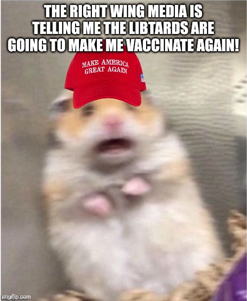 Scared trumpie | THE RIGHT WING MEDIA IS TELLING ME THE LIBTARDS ARE GOING TO MAKE ME VACCINATE AGAIN! | image tagged in conservative,republican,covid,democrat,liberal | made w/ Imgflip meme maker