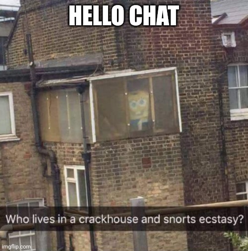 :) | HELLO CHAT | image tagged in shitpost | made w/ Imgflip meme maker