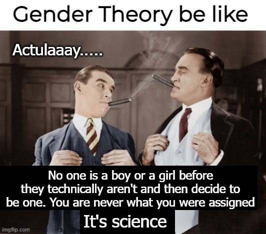 "No one's really cis". Ask your local gender priest | Gender Theory be like; Actulaaay..... No one is a boy or a girl before they technically aren't and then decide to be one. You are never what you were assigned; It's science | image tagged in gender identity,funny | made w/ Imgflip meme maker