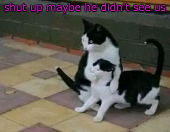 shut up maybe he didn't see us | made w/ Imgflip meme maker