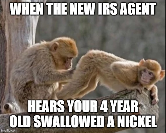 New IRS agents | WHEN THE NEW IRS AGENT; HEARS YOUR 4 YEAR OLD SWALLOWED A NICKEL | image tagged in taxes,taxation is theft,tax,tax cuts,let's raise their taxes,tax cuts for the rich | made w/ Imgflip meme maker