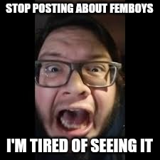 My friends on TikTok send me memes | STOP POSTING ABOUT FEMBOYS; I'M TIRED OF SEEING IT | image tagged in on discord it's fucking memes | made w/ Imgflip meme maker