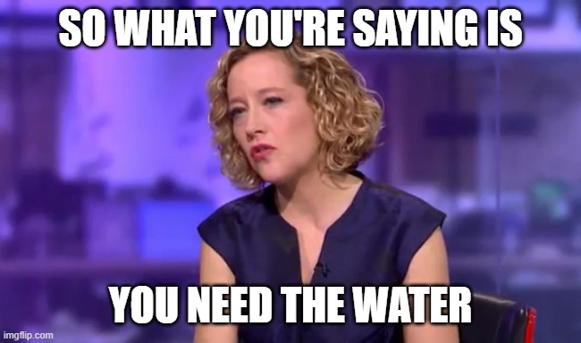 So What You're Saying Is | SO WHAT YOU'RE SAYING IS YOU NEED THE WATER | image tagged in so what you're saying is | made w/ Imgflip meme maker