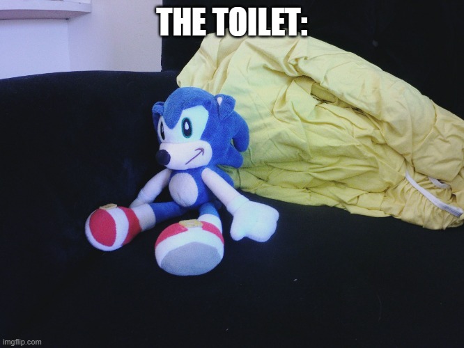 sonic questioning life | THE TOILET: | image tagged in sonic questioning life | made w/ Imgflip meme maker
