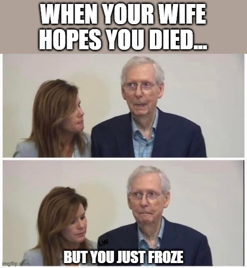 Another Freeze Meme | WHEN YOUR WIFE HOPES YOU DIED... BUT YOU JUST FROZE | image tagged in mitch mcconnell | made w/ Imgflip meme maker