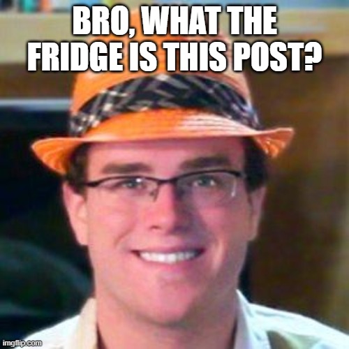 BRO, WHAT THE FRIDGE IS THIS POST? | image tagged in youtuber | made w/ Imgflip meme maker