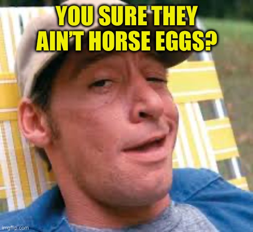 earnest p worrell | YOU SURE THEY AIN’T HORSE EGGS? | image tagged in earnest p worrell | made w/ Imgflip meme maker