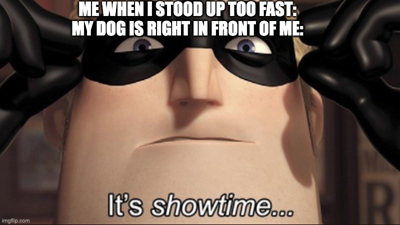 It's showtime | ME WHEN I STOOD UP TOO FAST:
MY DOG IS RIGHT IN FRONT OF ME: | image tagged in it's showtime | made w/ Imgflip meme maker