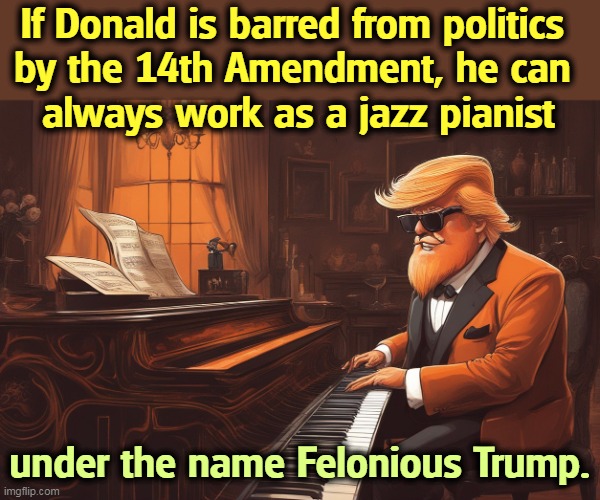 If Donald is barred from politics 
by the 14th Amendment, he can 
always work as a jazz pianist; under the name Felonious Trump. | image tagged in trump,felony,constitution,jazz,piano | made w/ Imgflip meme maker