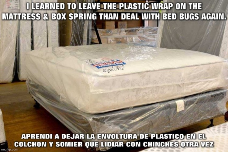 image tagged in bed bugs,bed,plastic wrap,pests,advice,hotels | made w/ Imgflip meme maker
