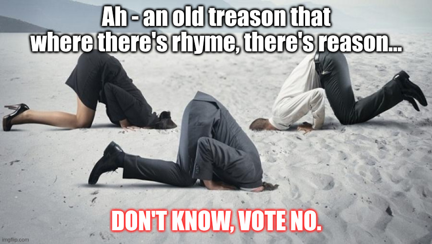 Vote Yes for the Voice. | Ah - an old treason that where there's rhyme, there's reason... DON'T KNOW, VOTE NO. | made w/ Imgflip meme maker