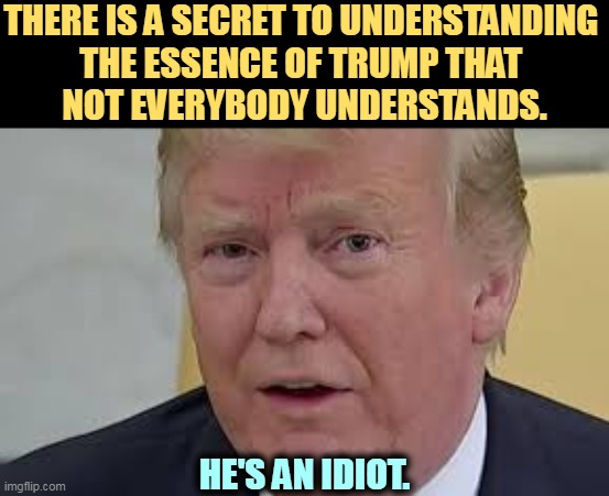 That's a big one. | THERE IS A SECRET TO UNDERSTANDING 
THE ESSENCE OF TRUMP THAT 
NOT EVERYBODY UNDERSTANDS. HE'S AN IDIOT. | image tagged in trump frightened dilated,essential,trump,idiot | made w/ Imgflip meme maker