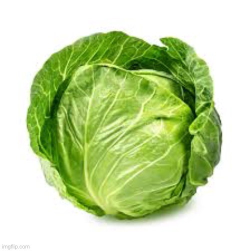 Cabbege | image tagged in cabbege | made w/ Imgflip meme maker