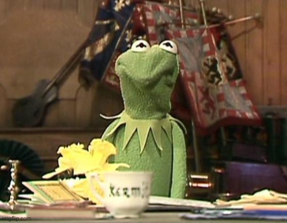 Annoyed Kermit | image tagged in annoyed kermit | made w/ Imgflip meme maker