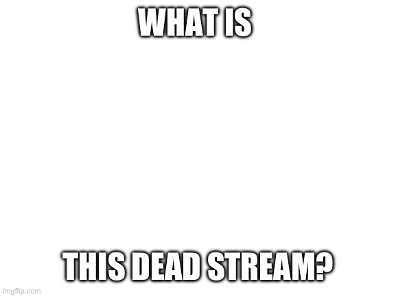 Blank White Template | WHAT IS; THIS DEAD STREAM? | image tagged in blank white template | made w/ Imgflip meme maker