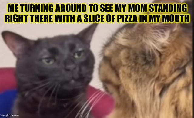 Happens all the time | ME TURNING AROUND TO SEE MY MOM STANDING RIGHT THERE WITH A SLICE OF PIZZA IN MY MOUTH | image tagged in black cat zoning out,same,funny memes,relatable | made w/ Imgflip meme maker