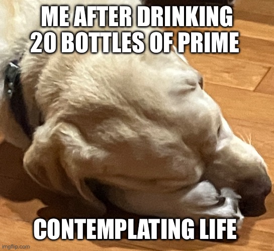 ME AFTER DRINKING 20 BOTTLES OF PRIME; CONTEMPLATING LIFE | made w/ Imgflip meme maker