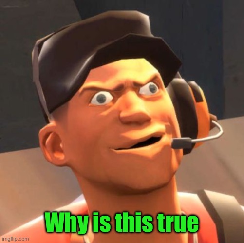 TF2 Scout | Why is this true | image tagged in tf2 scout | made w/ Imgflip meme maker