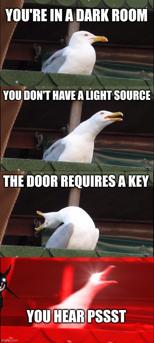 Inhaling Seagull Meme | YOU'RE IN A DARK ROOM; YOU DON'T HAVE A LIGHT SOURCE; THE DOOR REQUIRES A KEY; YOU HEAR PSSST | image tagged in memes,inhaling seagull | made w/ Imgflip meme maker