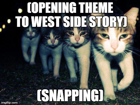Wrong Neighboorhood Cats Meme | (OPENING THEME TO WEST SIDE STORY) (SNAPPING) | image tagged in memes,wrong neighboorhood cats | made w/ Imgflip meme maker